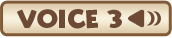 VOICE 3